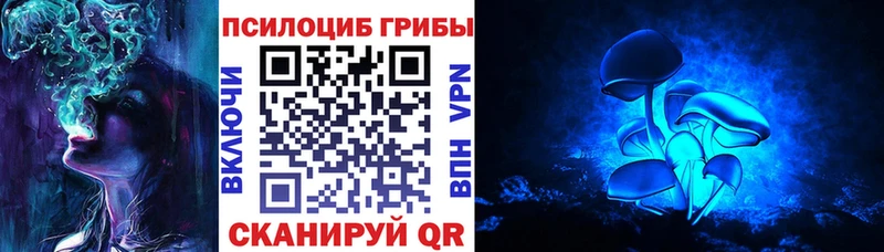 наркота  Кирсанов  Псилоцибиновые грибы мицелий 